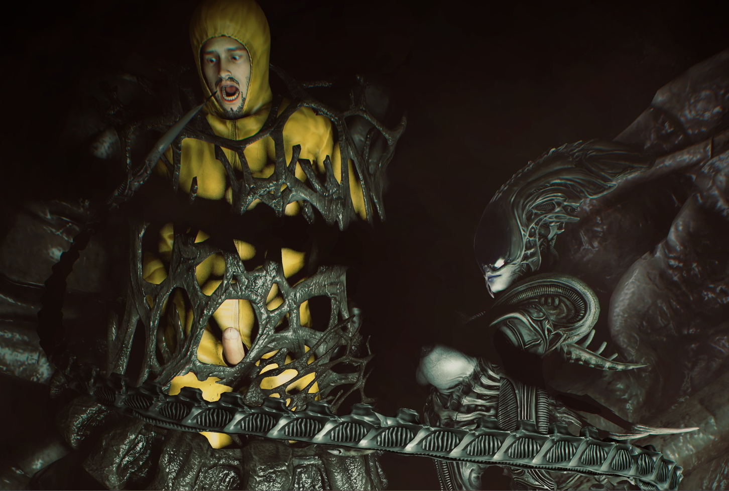 Community Contributions - November    26